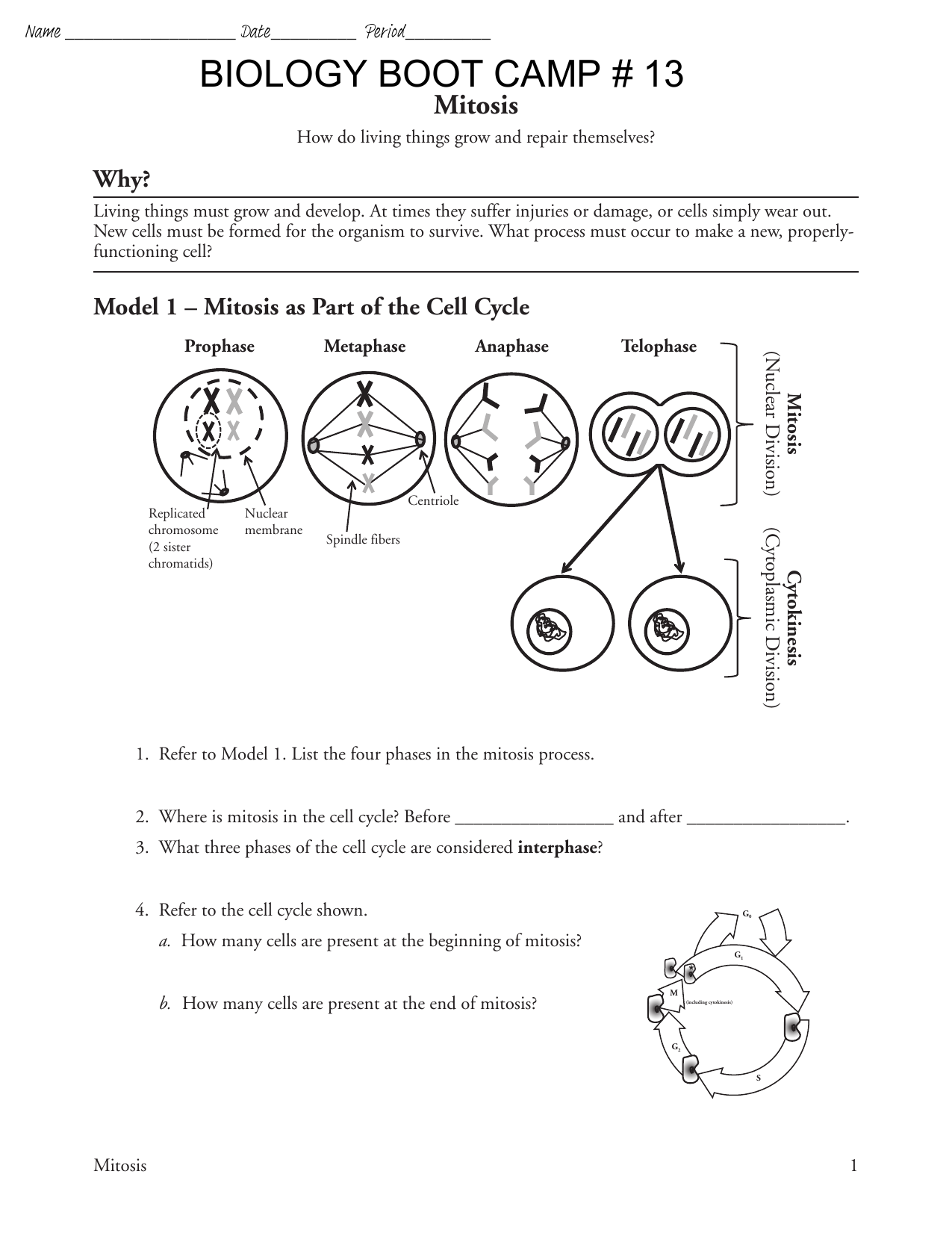 Bootcamp #24 24 Mitosis-S-24-signed Regarding The Cell Cycle Worksheet