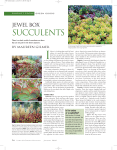 PDF: Jewel Box Succulents