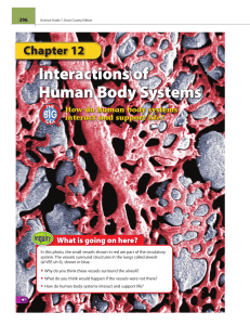 Interactions of Human Body Systems