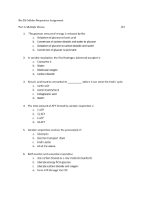 Bio 20-Cellular Respiration Assignment Part A