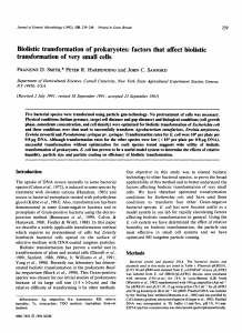 Biolistic transformation of prokaryotes: factors that