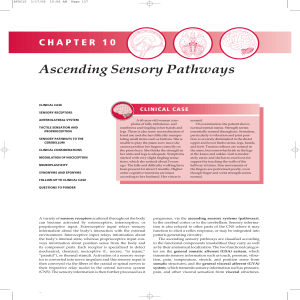 Ascending Sensory Pathways