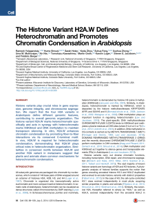 The Histone Variant H2A.W Defines Heterochromatin and Promotes