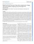 Rapid positional cloning of zebrafish mutations by