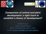 Comparison of animal and plant development: a right track to