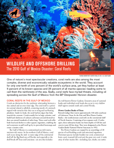 Wildlife and OffshOre drilling