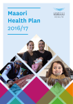 Maaori Health Plan 2016/17