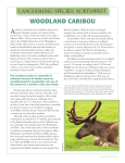 woodland caribou - National Wildlife Federation