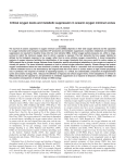 Critical oxygen levels and metabolic suppression in oceanic oxygen