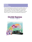 Orchid Express - Smithsonian Gardens