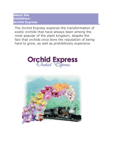 Orchid Express - Smithsonian Gardens