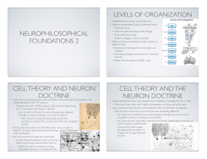 neurophilosophical foundations 2 levels of organization cell theory
