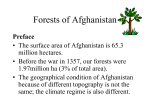 Forests of Afghanistan