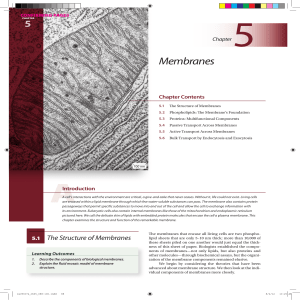 Chapter 05 Membranes