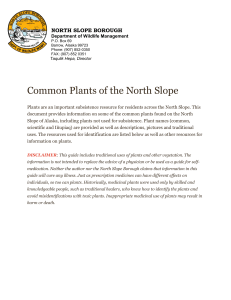 Common Plants of the North Slope