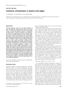 Carbonic anhydrases in plants and algae