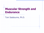 PowerPoint Presentation - Muscular Strength and Endurance