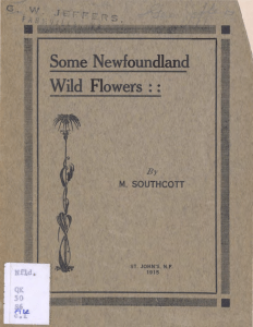 SOME NEWFOUNDLAND WILD FLOWERS By M. SOUTHCOTT