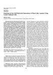 Functions of the Cell Wall in the Interactions of Plant Cells: Analysis