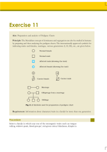 Exercise 11