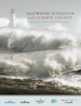 Saltwater Intrusion and Climate Change