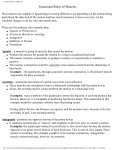 Functional Roles of Muscles