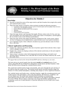 Module 3. The Blood Supply Of The Brain