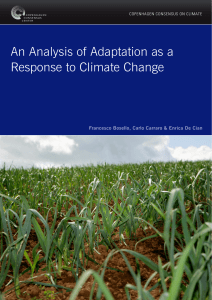 An Analysis of Adaptation as a Response to Climate Change