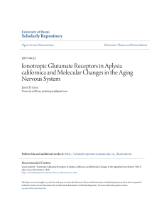 Ionotropic Glutamate Receptors in Aplysia californica and Molecular