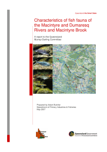 Characteristics of fish fauna of the Macintyre and Dumaresq Rivers