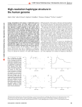 High-resolution haplotype structure in the human genome