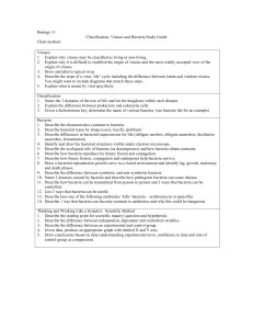 Biology 11 Classification, Viruses and Bacteria Study Guide Chart