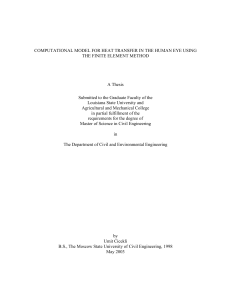 COMPUTATIONAL MODEL FOR HEAT TRANSFER IN THE HUMAN