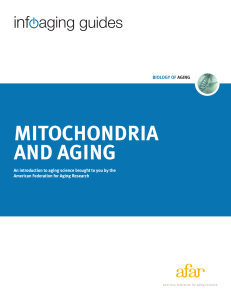 mitochondria and aging - American Federation for Aging Research