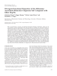 Divergent Functional Properties of the Ribosome