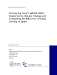 Simulating Future Wheat Yields` Response to Climate Change and