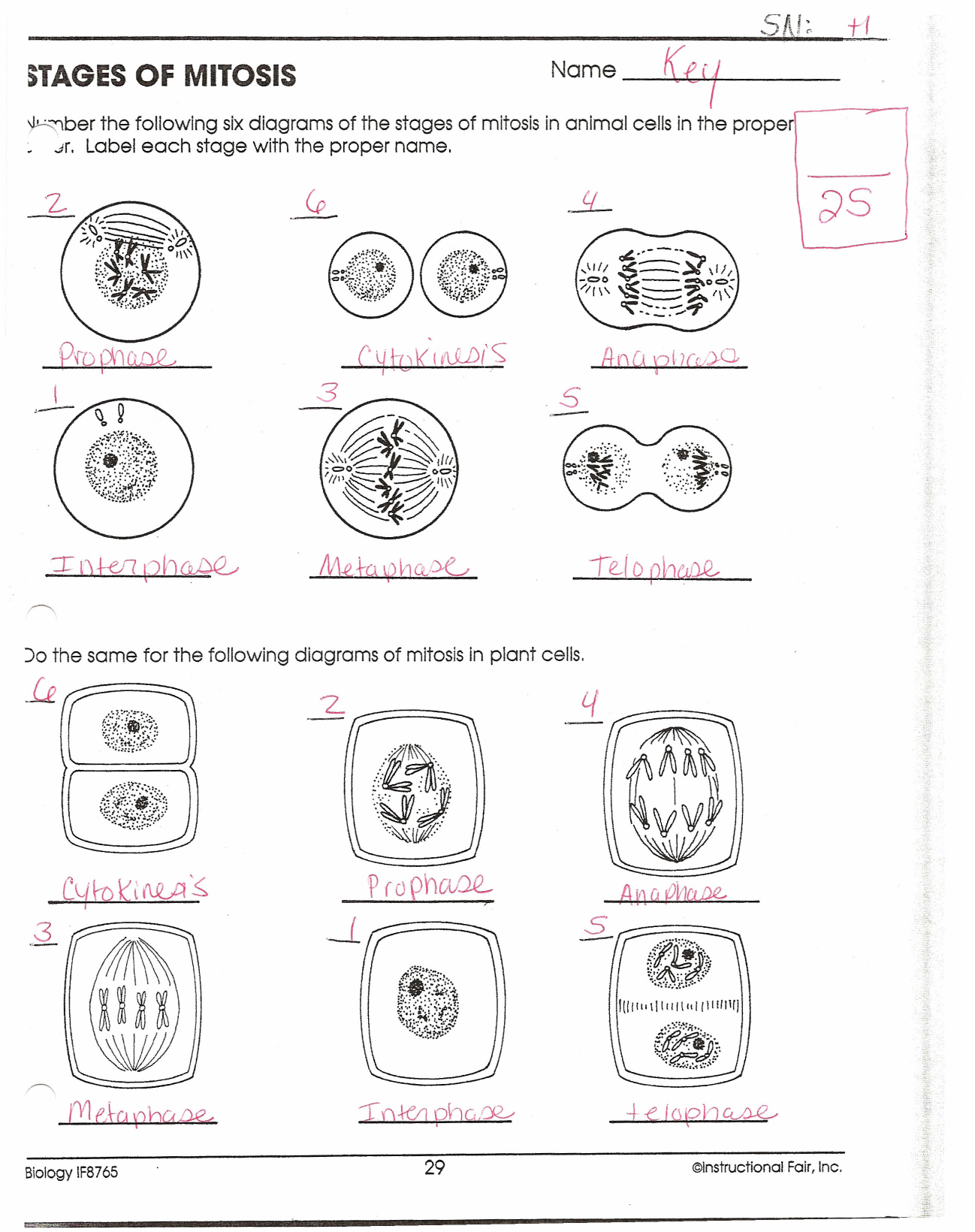 pearson education inc biology worksheet answers