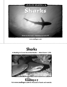 Sharks - TRECA Digital Academy