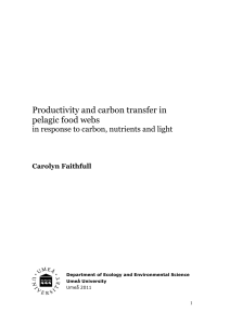 Productivity and carbon transfer in pelagic food webs