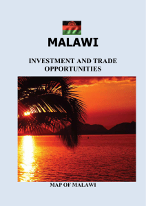 Flag - Malawi Investment and Trade Centre