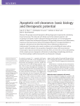 Apoptotic cell clearance: basic biology and therapeutic potential
