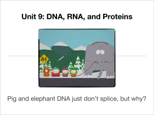 Unit 9: DNA, RNA, and Proteins