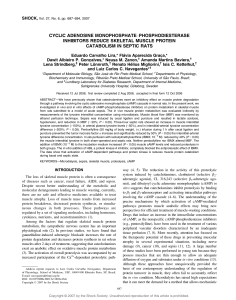 cyclic adenosine