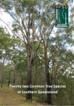 Species Identification Booklet - Private Forestry Service Queensland