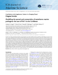 Modelling the spread and connectivity of waterborne marine