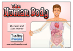 The Human Body - Teaching Ideas
