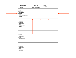 Digestive Systems