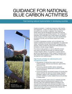 Guidance for national blue carbon activities