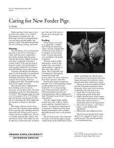 Caring for New Feeder Pigs - Department of Animal and Rangeland