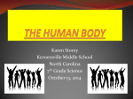 the human body